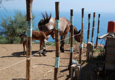 Agriturismo Appartamento Santa Margherita